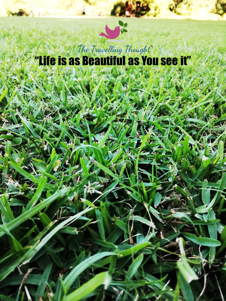 Life is as beautiful as you see it